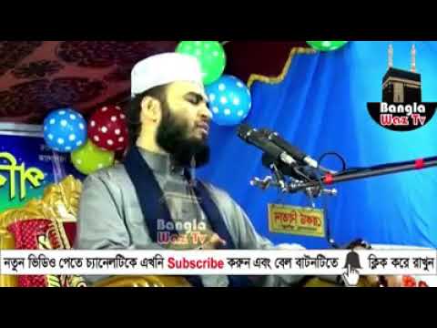 ভিডিও: হেফাজতের ব্যবস্থা কীভাবে করবেন