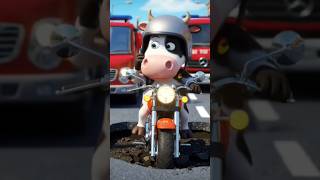 s song lewiscapaldi A Little Cow In Accident