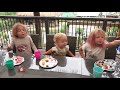 GERMAN CANDY TASTE TEST WITH THE KIDS