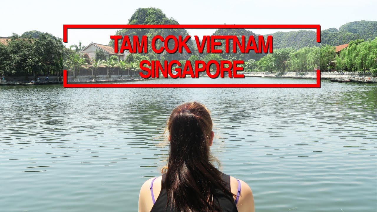 Tam Coc River Cruise | Singapore Airport | VIETNAM | Vlog Ep 17 | Travel Vlog