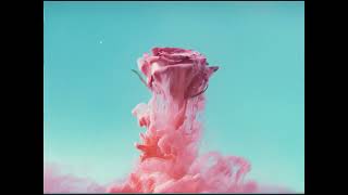 [FREE] Acoustic Guitar Pop Punk Type Beat // Rose @KingTheta