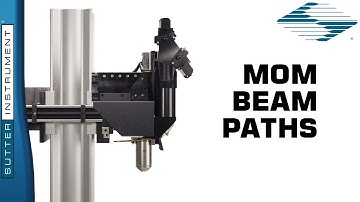 Beam Paths of the Movable Objective Microscope (MOM)