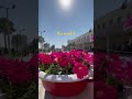 Karachi Ishq he |Karachi is Love #youtubeshorts #ytshorts #shortsviral