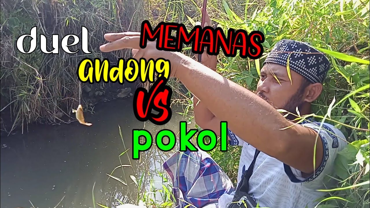 Mancing wader,andong vs pokol memanas!!!