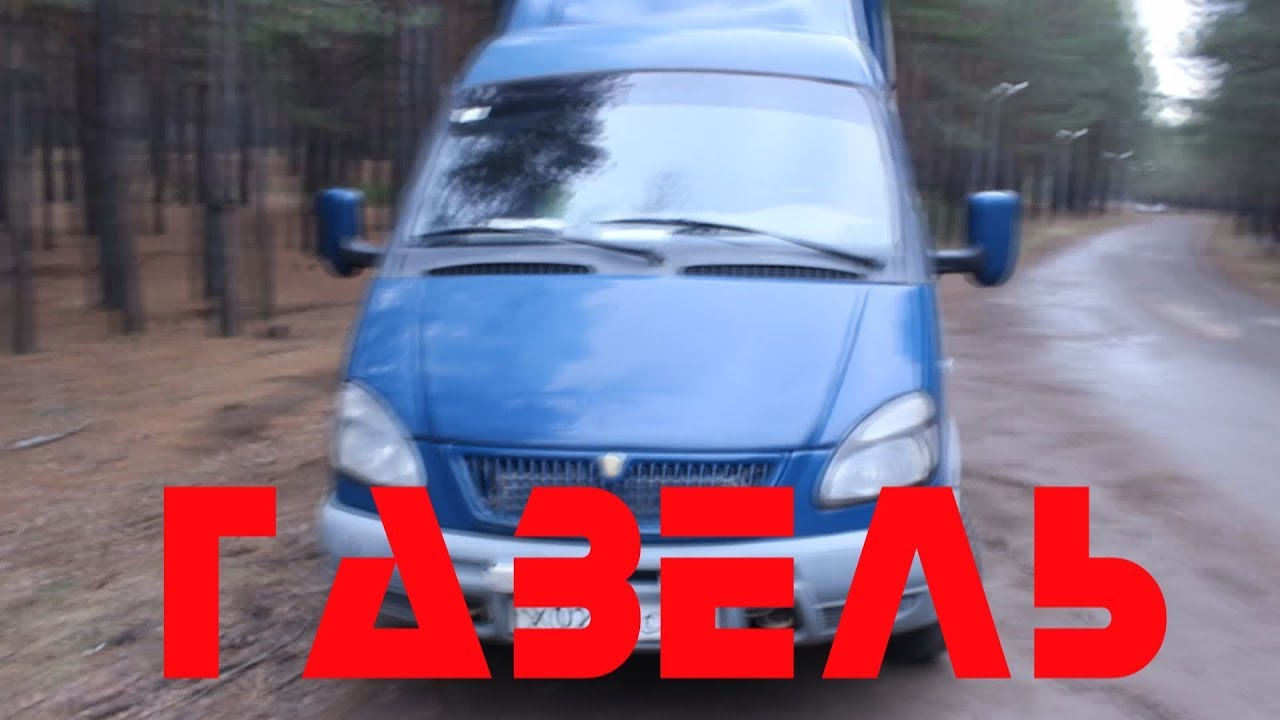 Газель фермер видео