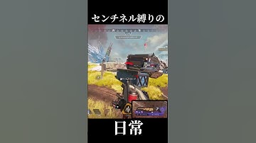 【APEX】センチネルの悪魔と契約した男【まめんぬ】 #apexlegends #apex