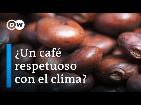 Video: ¿Cuál es el estado productor de café más grande de la India?