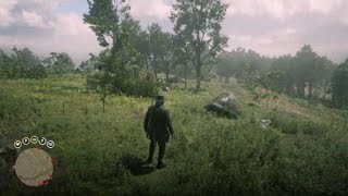 Red Dead Redemption 2 - How to pick Plants (Golden Currant) Red Dead Redemption 2 - How to pick Plants (Golden Currant)