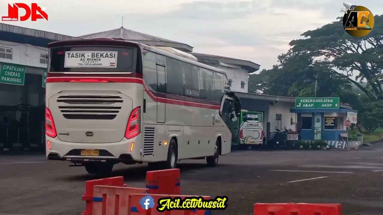 HUNTING BUS PAGI‼️TERMINAL INDIHIANG TASIKMALAYA || BANYAK PRIMAJASA DAN BUDIMAN