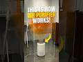 CAN AN AIR PURIFIER REALLY CLEAN THE AIR? 😳 | YOUR FACTS BUNNY #airpurifier #howitworks #air #shorts
