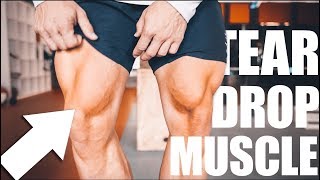 LEG DAY TRAINING - VASTUS MEDIALIS