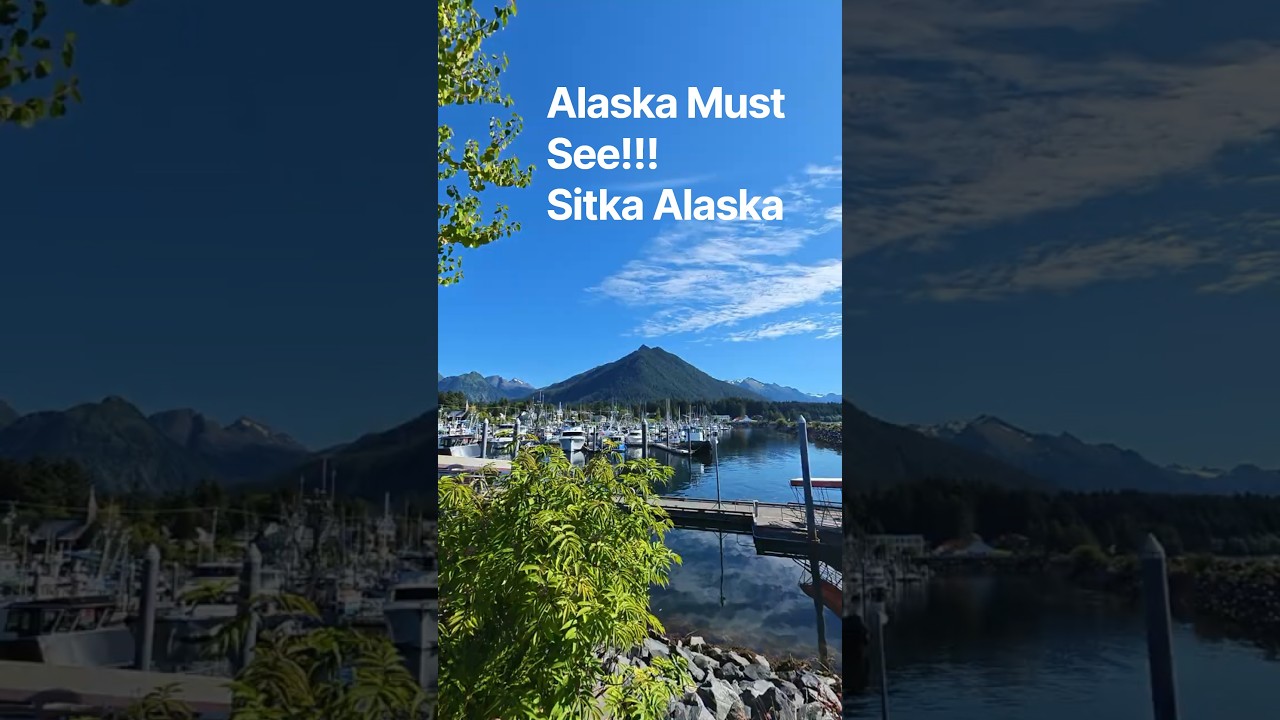 Bees, Seas, and Trees - Sitka Alaska; You Won’t Believe This Alaska Sight! 🚢🏔️