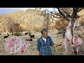 Nomadic life after the rain |Preparing shelter in the mountains |Traditional kebab with goat meat