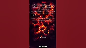 #أجمل_التلاوات قرآن كريم بصوت جميل جدا تلاوة تريح القلب وتشرح الصدر. سورة النساء محمد أيوب 