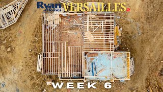 Week 6: Framing Begins! | Ryan Homes Versailles 2 Construction Update