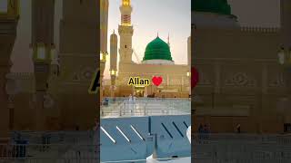 Allan ♥️ sohat..