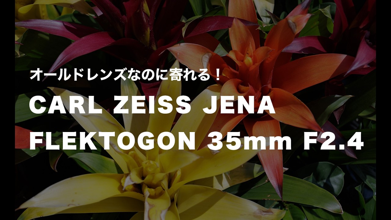 This old lens can get close up! CARL ZEISS JENA FLEKTOGON 35mm F2