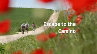 Through Fire and Rain for a Friend: Wendys Camino Story