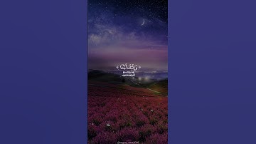 سورة الممتحنة (آية ٤) القارئ رعد الكردي