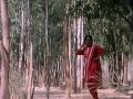 Tomar Raag Elo Ki | Hirak Jayanti | Bengali Movie Song | Suresh Wadekar, Anupama Deshpandey Mp3 Song