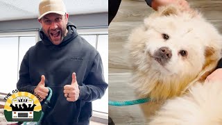 This adorable new rescue is like if Cece and Little Bear had a baby! | Lee Asher by The Asher House 229,339 views 3 weeks ago 6 minutes, 28 seconds