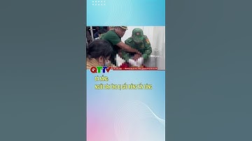 Đà Nẵng: Người đàn ông bị gấu rừng tấn công| QTTV #shorts