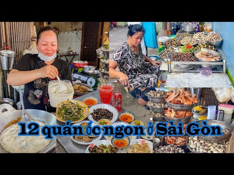 Video Tổng hợp 12 QUÁN ỐC ngon ở Sài Gòn, nhiều quán trong... - youtube