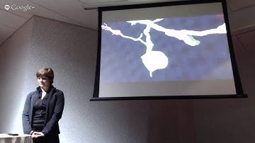 VISUALIZING SCIENTIFIC DATA ON THE BIG SCREEN: O. Medvedik, A. Robinson, J. Fischer, C. Zimmer