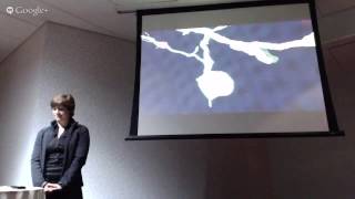 Famous VISUALIZING SCIENTIFIC DATA ON THE BIG SCREEN: O. Medvedik, A. Robinson, J. Fischer, C. Zimmer Wealth