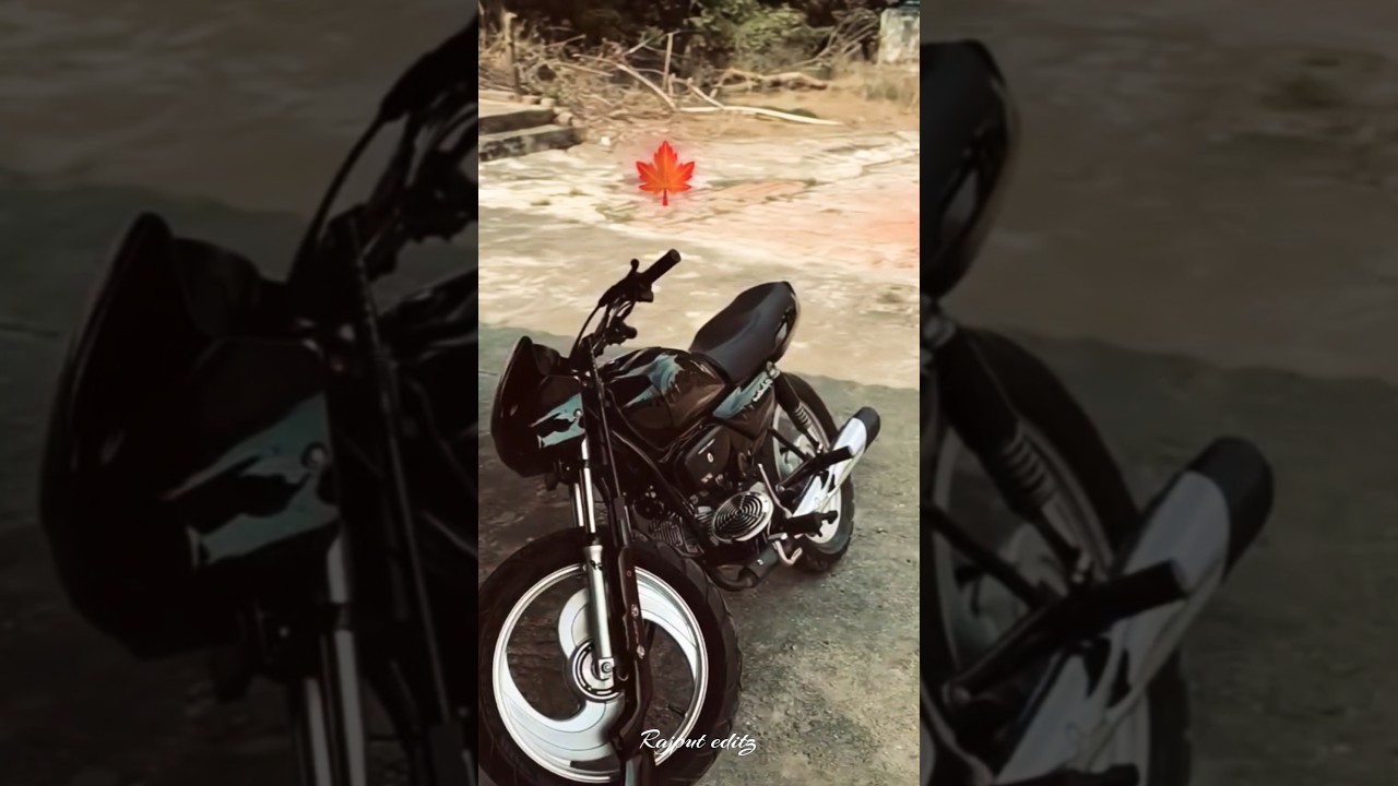 modified black splendor plus