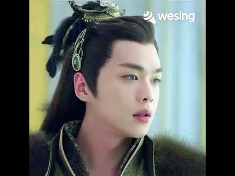 หงส์ฟ้า-ชายร้องแก้