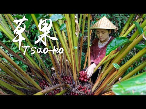 The magical spice that takes 3 years to harvest - Tsao-ko