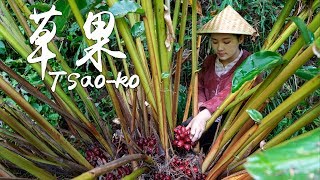 "Spices of Four Seasons" The magical spice that takes 3 years to harvest - Tsao-ko