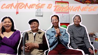 Speaking in Cantonese & Taishanese | Hanging With My Family Vlog