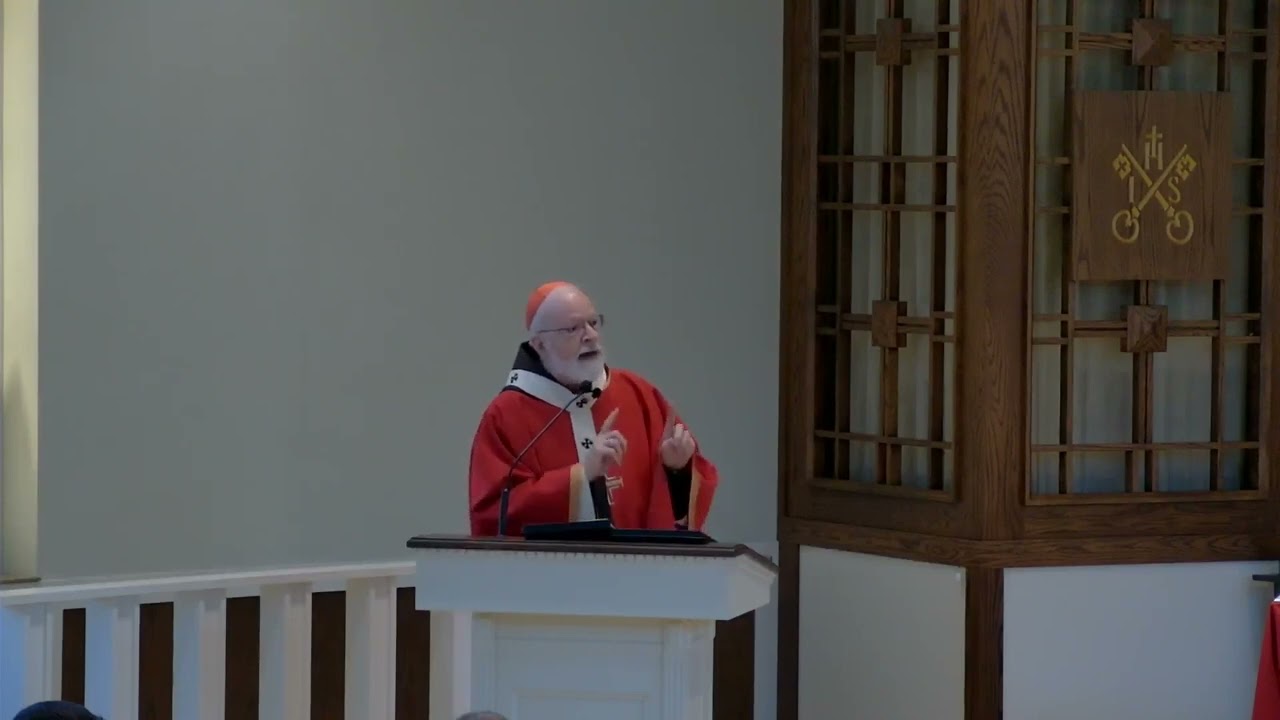 Homily by Cardinal Seán Patrick O'Malley - Mass of the Holy Spirit - 9 ...