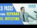 REPARA TU INTESTINO: 3 pasos rápidos y una piedra SECRETA