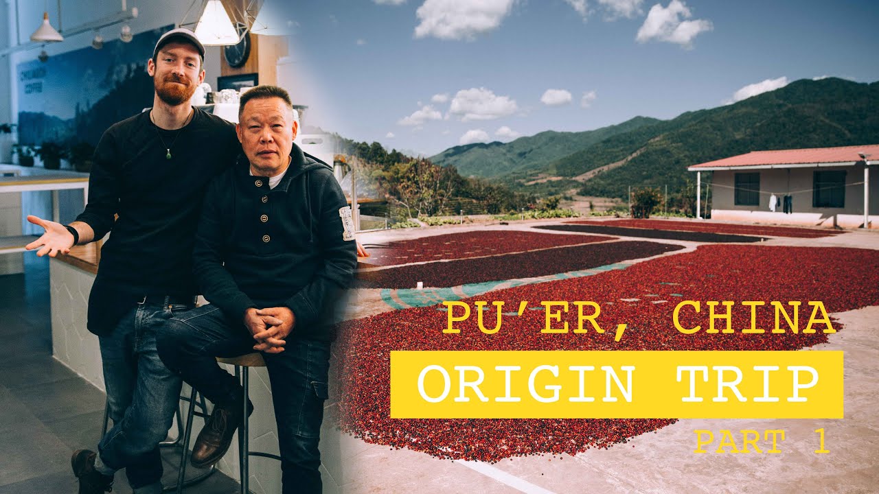 What I Learned on a Chinese Coffee Farm!