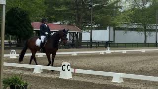 Lucienne’s Fleur & Sarah Lane - Second Level Test 3
