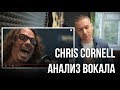 Анализ вокала Chris Cornell - Fell on Black Days.