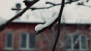 Winter Wonderland In Riga