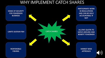 THE MARINE FISH STOCK A TRAGEDY OF THE COMMONS