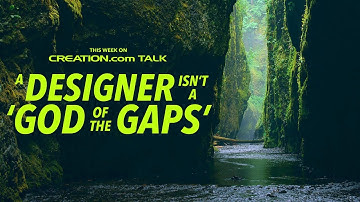 A Designer Isn’t a ‘God of the Gaps’