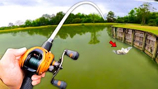 Fishing for GIANT Bass w/ Topwater in SMALL Ponds (LOADED)