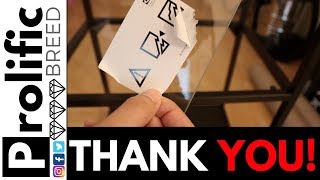 Ikea Vittsjo Shelf Unit Assembly Descarca