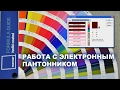 Уроки PhotoShop. Pantone. Работа с электронным пантонником.