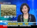 视频黑茶走红的背后 黑茶价飙涨 拿货靠&quot;中签&quot;