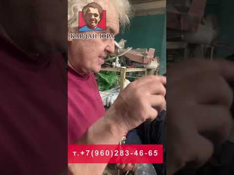 Шаг за Шагом: