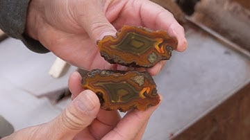Cutting Condor Agates - Beautiful!