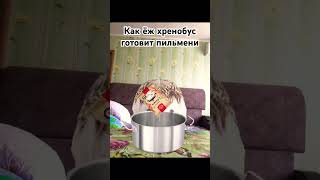 🤣как хренобус готовит пельмени🤣 #memes #mem #мемы #шлепа #хренобус #ёж #гусь #блоптоп #пельмени #🤣🤣🤣