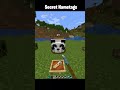 Minecraft Secret Nametags Moment #minecraft #shorts